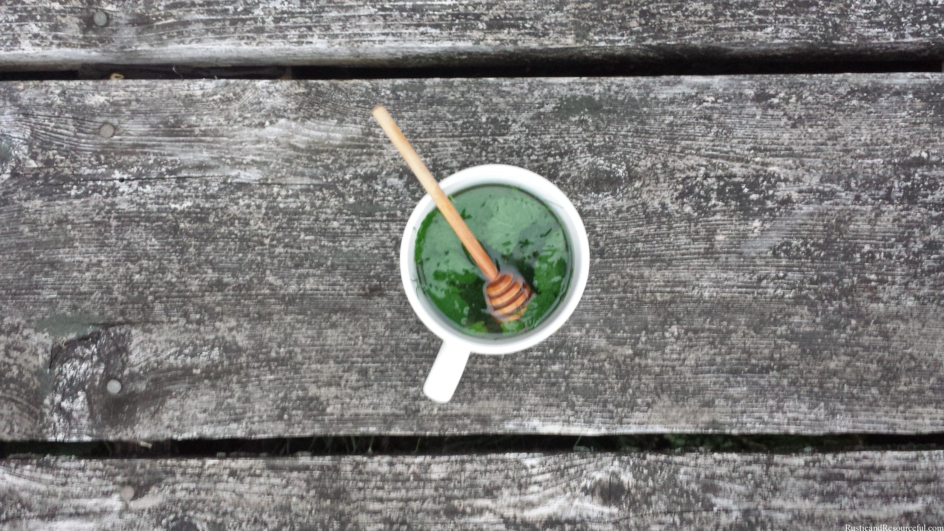 Mint & Fennel Tea