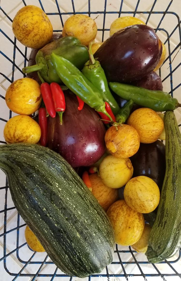 Last Garden Harvest of the Year