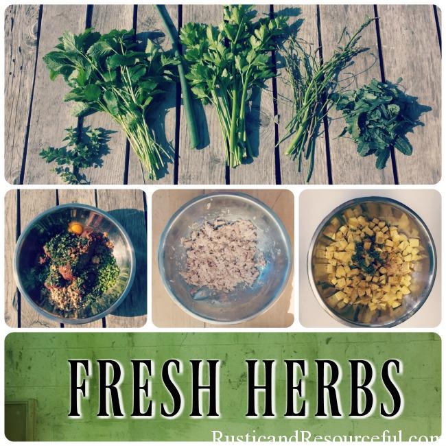Using Fresh Herbs in the Kitchen