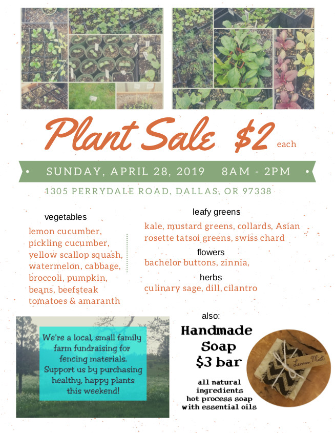 Plant Sale